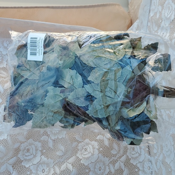 All Season Grape Ivy bush NEW goes w/everything Home Interiors - Picture 9 of 13